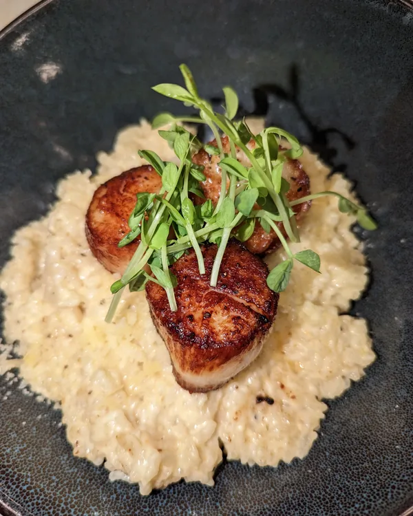 Seared scallops with a deep golden crust resting on creamy risotto topped with pea shoots